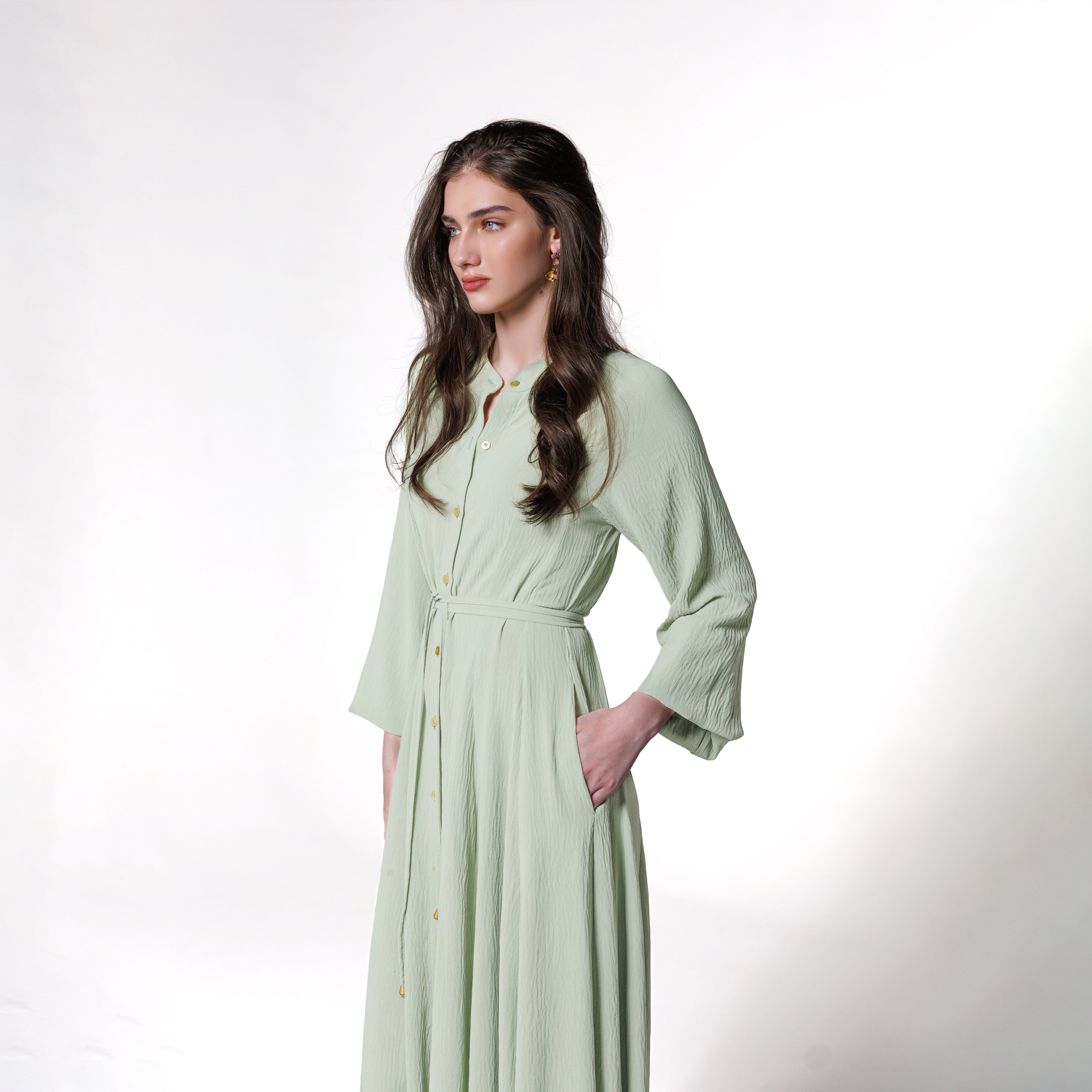Isabelle Dress | Mint Black Swan Fashion