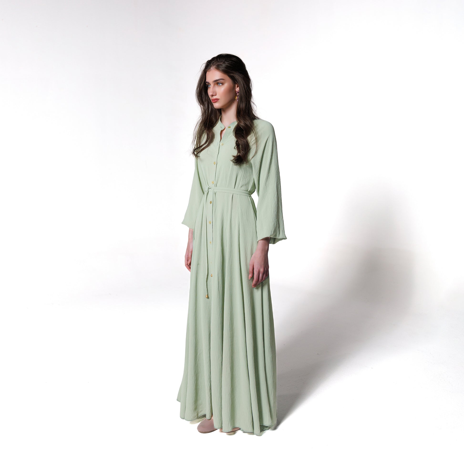 Isabelle Dress | Mint Black Swan Fashion