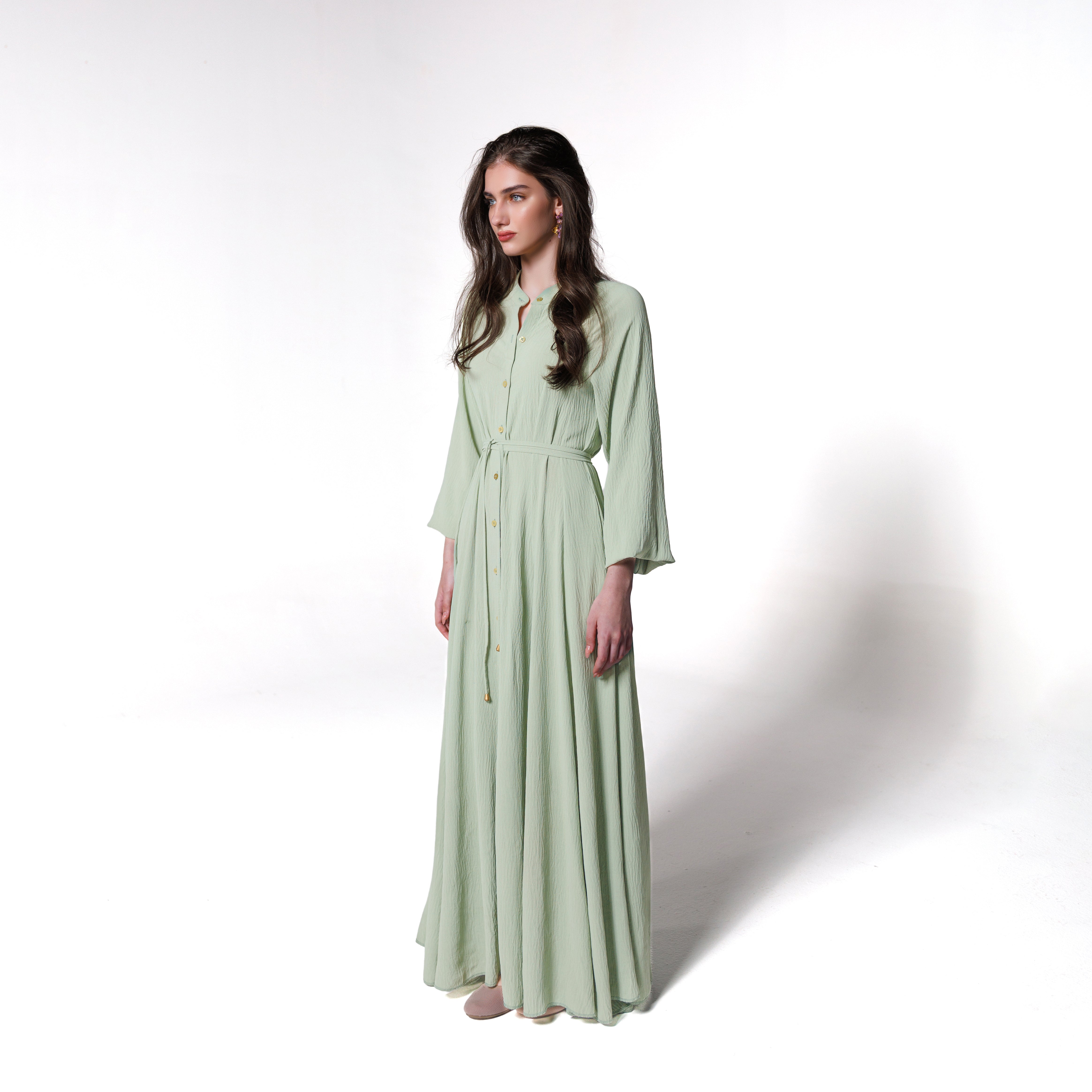 Isabelle Dress | Mint Black Swan Fashion
