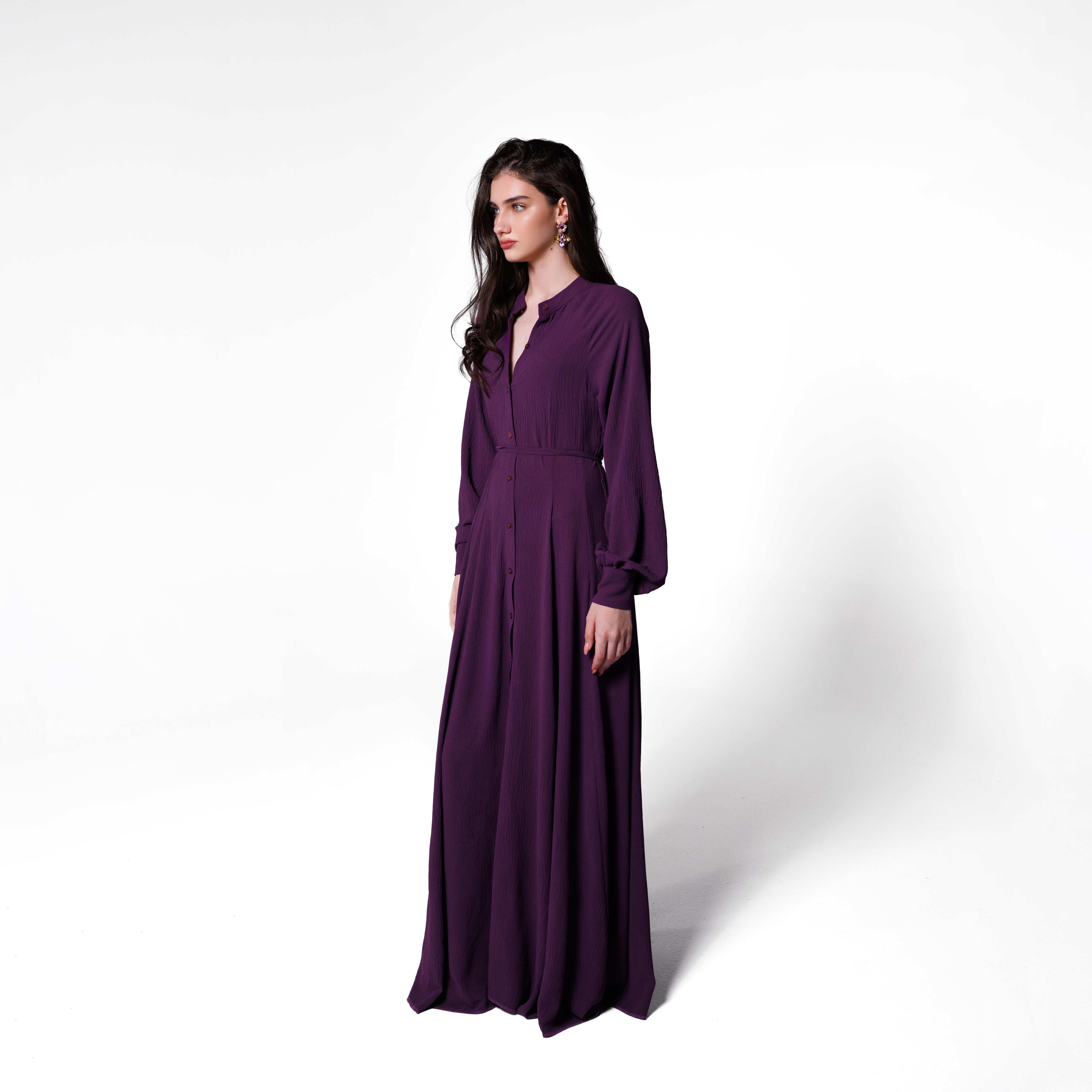Isabelle Dress | Purple Black Swan Fashion