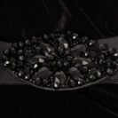 Black Swan-05495