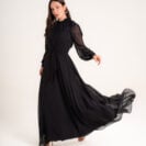 Black Swan-04540