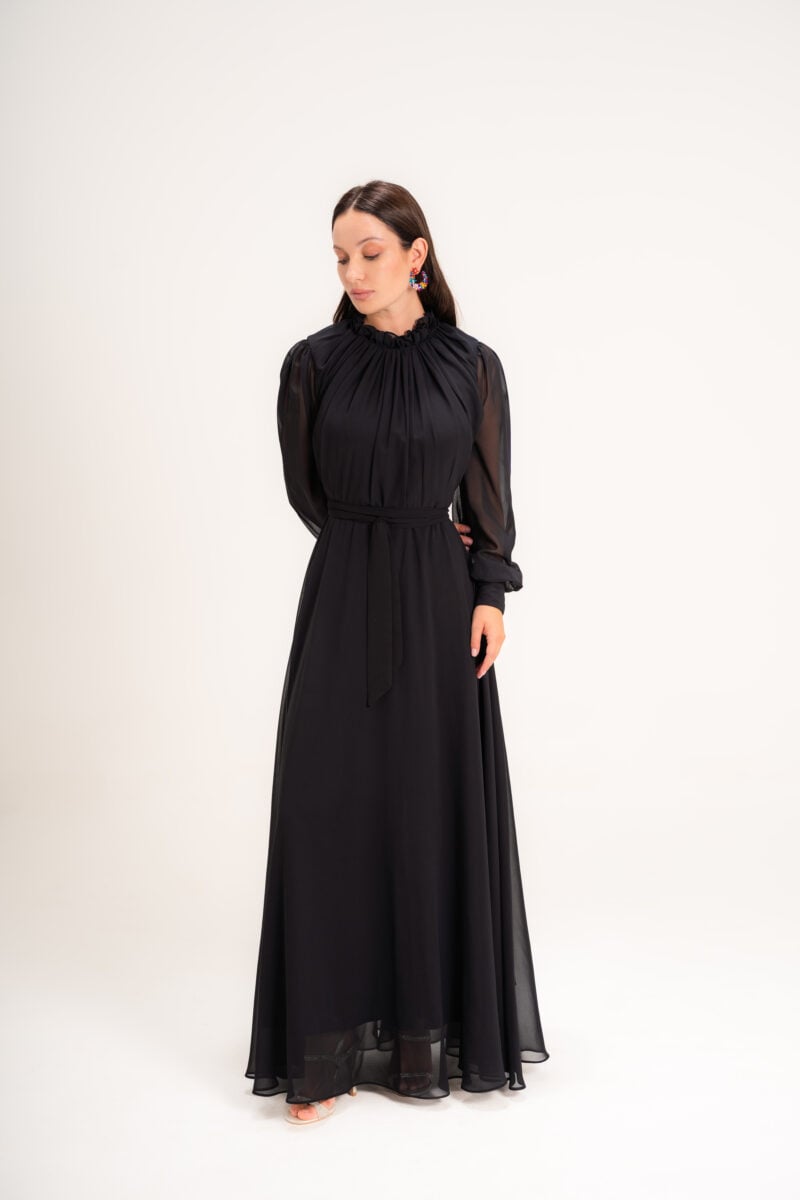 Black Swan-04557