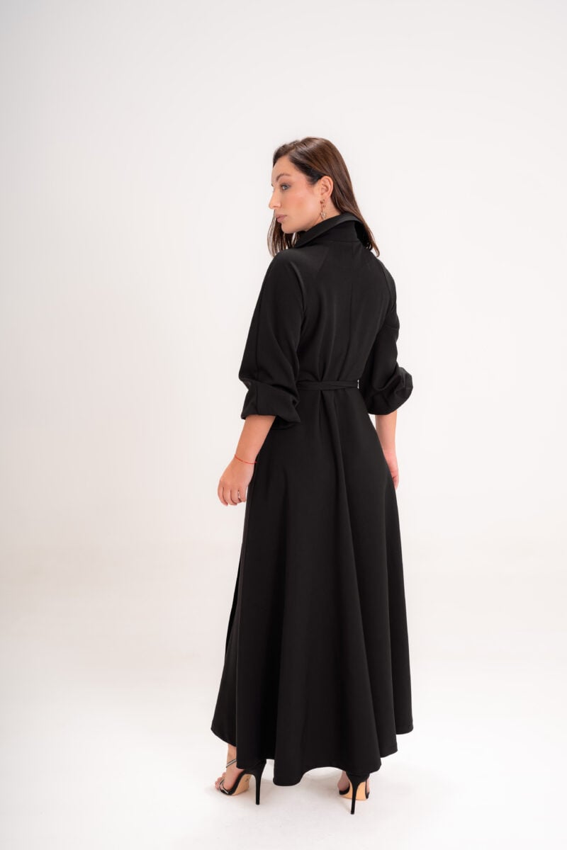 Black Swan-09874