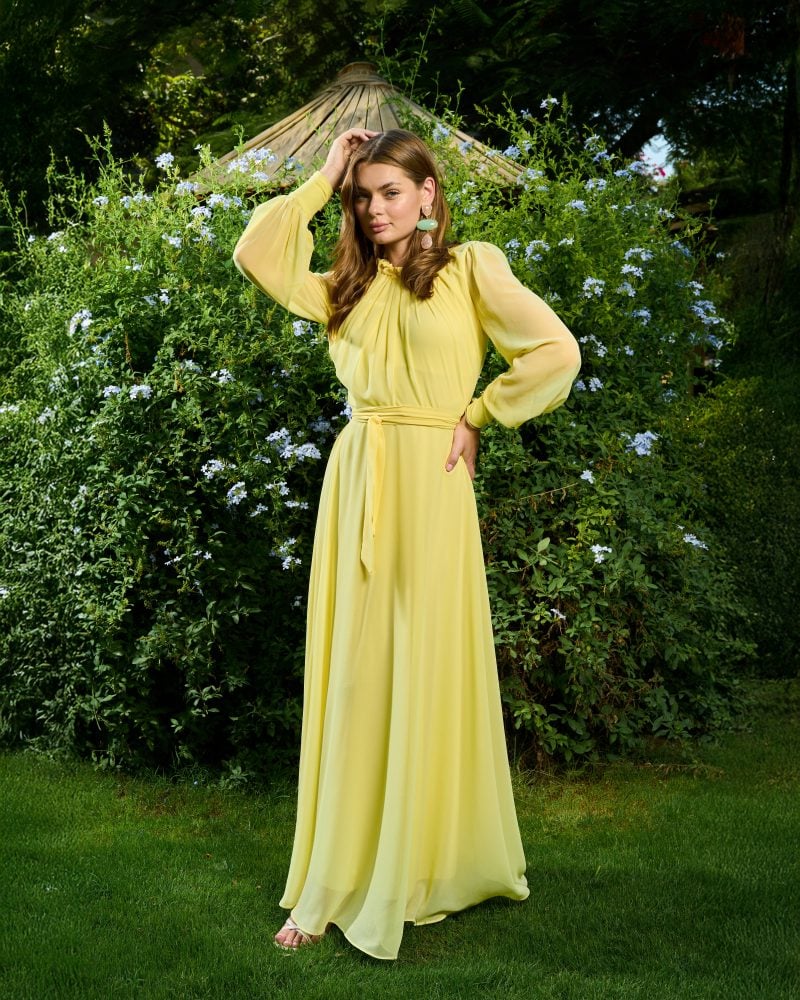 Elsa Chiffon Dress 1