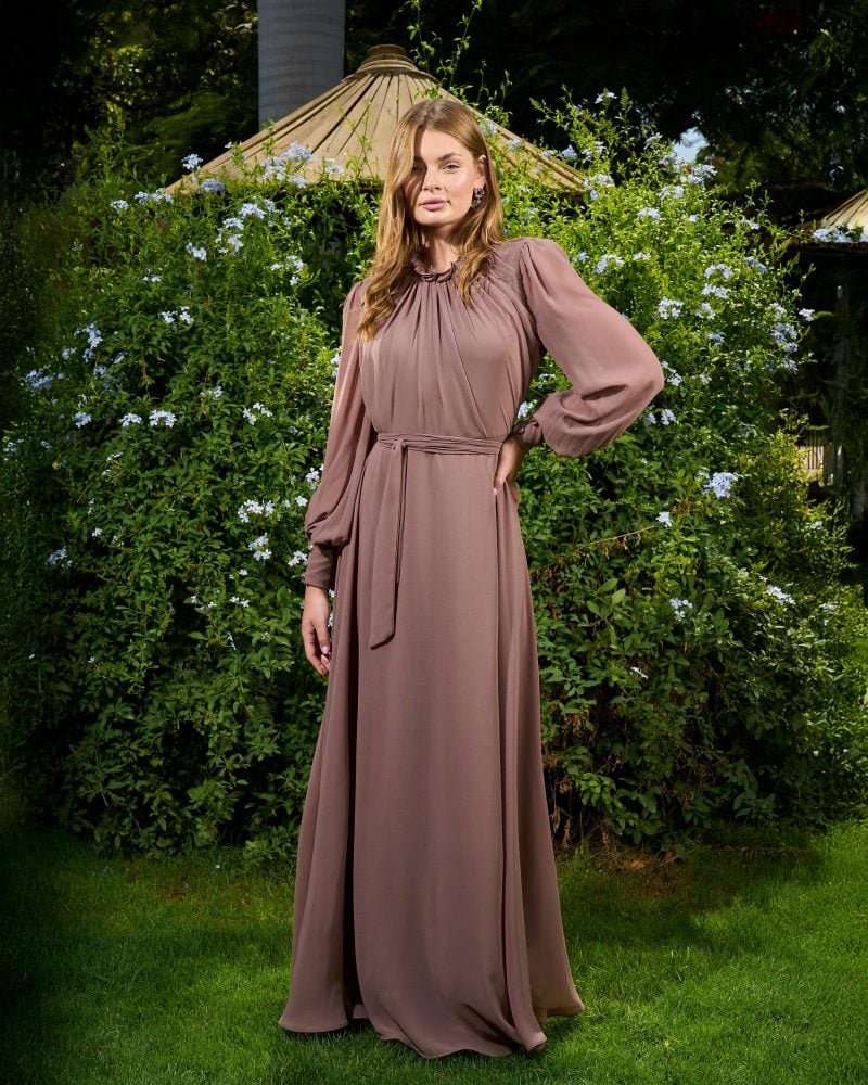 Elsa Chiffon Dress 1