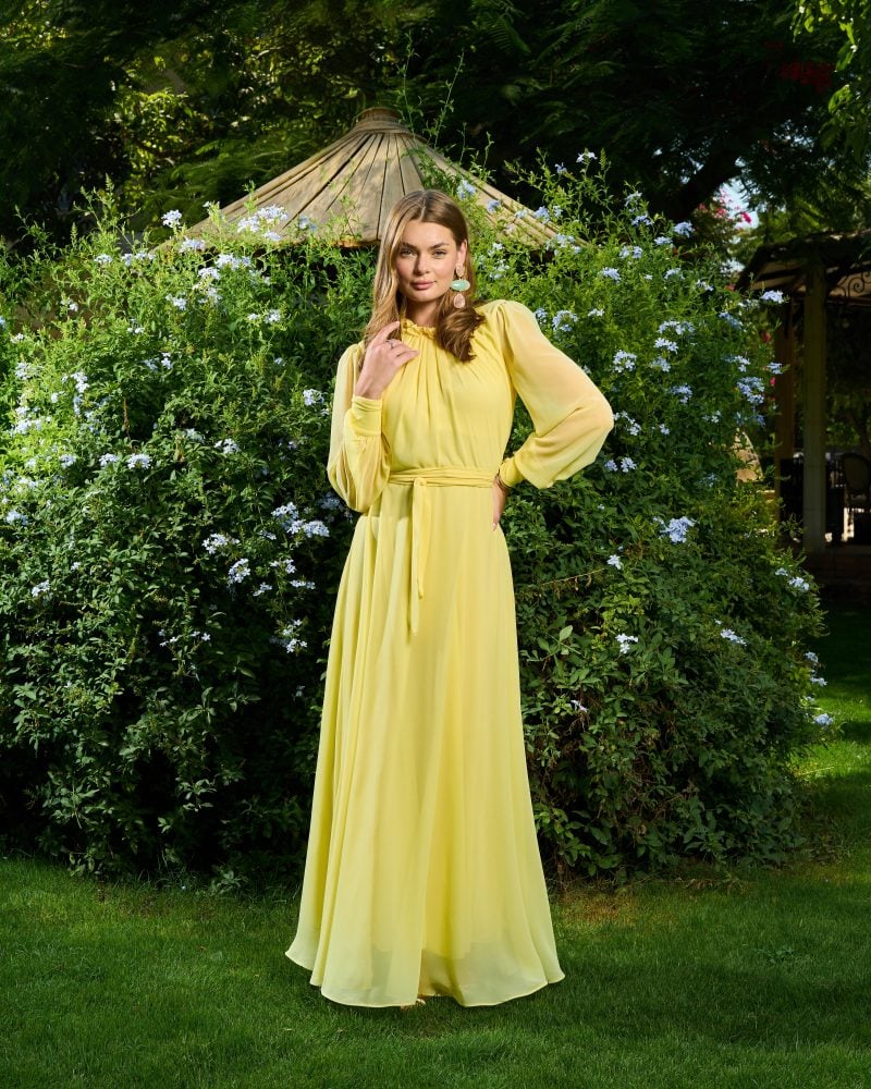 Elsa Chiffon Dress 10