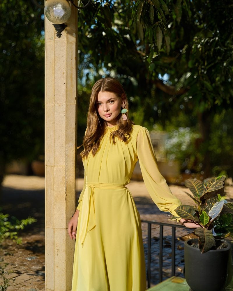 Elsa Chiffon Dress 2