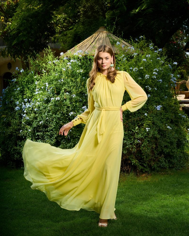 Elsa Chiffon Dress 3