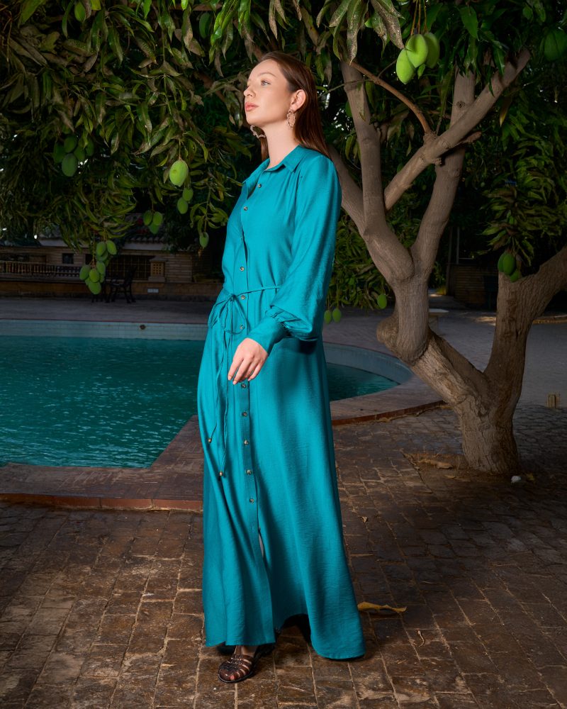 Gabby Shirt Dress4